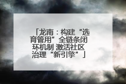 龙南：构建“选育管用”全链条闭环机制 激活社区治理“新引擎”