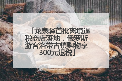 龙泉驿首批离境退税商店落地，俄罗斯游客洛带古镇购物享300元退税