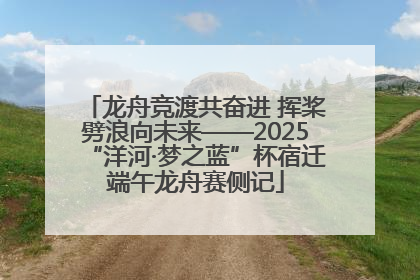 龙舟竞渡共奋进 挥桨劈浪向未来——2025“洋河·梦之蓝”杯宿迁端午龙舟赛侧记