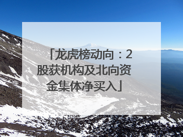 龙虎榜动向：2股获机构及北向资金集体净买入