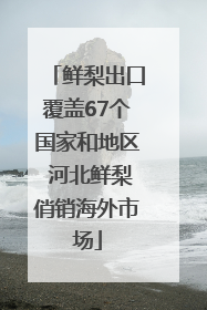 鲜梨出口覆盖67个国家和地区 河北鲜梨俏销海外市场