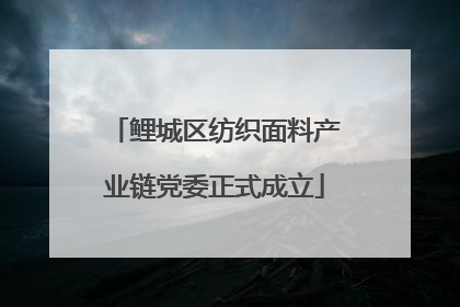 鲤城区纺织面料产业链党委正式成立