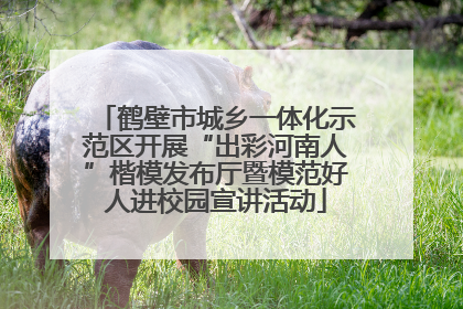 鹤壁市城乡一体化示范区开展“出彩河南人”楷模发布厅暨模范好人进校园宣讲活动