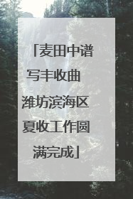 麦田中谱写丰收曲 潍坊滨海区夏收工作圆满完成