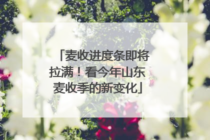 麦收进度条即将拉满！看今年山东麦收季的新变化