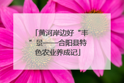 黄河岸边好“丰”景——合阳县特色农业养成记