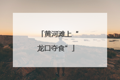 黄河滩上“龙口夺食”