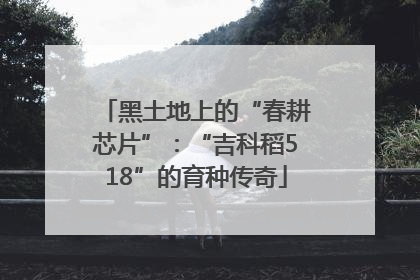 黑土地上的“春耕芯片”：“吉科稻518”的育种传奇