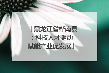 黑龙江省桦南县：科技人才驱动 赋能产业促发展