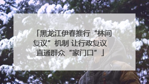 黑龙江伊春推行“林间复议”机制 让行政复议直通群众“家门口”