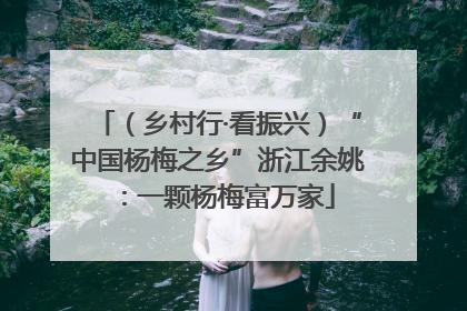 （乡村行·看振兴）“中国杨梅之乡”浙江余姚：一颗杨梅富万家