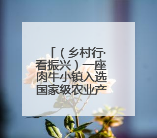 （乡村行·看振兴）一座肉牛小镇入选国家级农业产业强镇名单之后