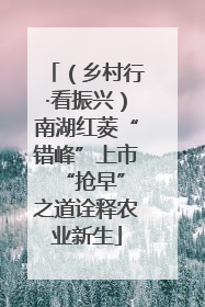 （乡村行·看振兴）南湖红菱“错峰”上市 “抢早”之道诠释农业新生