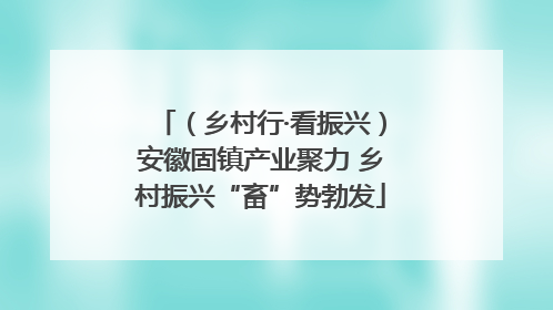（乡村行·看振兴）安徽固镇产业聚力 乡村振兴“畜”势勃发