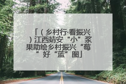 （乡村行·看振兴）江西靖安“小”浆果助绘乡村振兴“莓”好“蓝”图