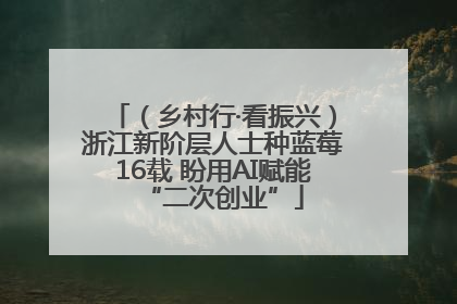 （乡村行·看振兴）浙江新阶层人士种蓝莓16载 盼用AI赋能“二次创业”