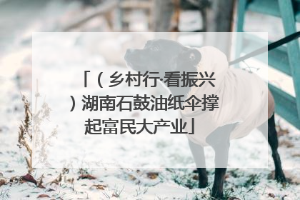 （乡村行·看振兴）湖南石鼓油纸伞撑起富民大产业