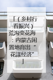（乡村行·看振兴）荒沟变花海：内蒙古闲置地育出“花漾经济”