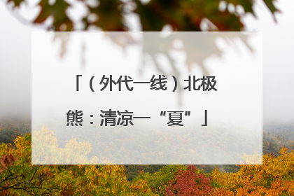 （外代一线）北极熊：清凉一“夏”