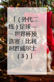 （外代二线）足球——世界杯预选赛：比利时胜威尔士（3）
