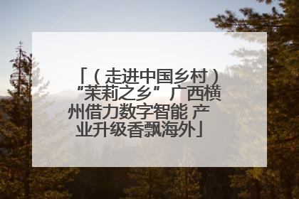 （走进中国乡村）“茉莉之乡”广西横州借力数字智能 产业升级香飘海外