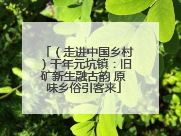 （走进中国乡村）千年元坑镇：旧矿新生融古韵 原味乡俗引客来