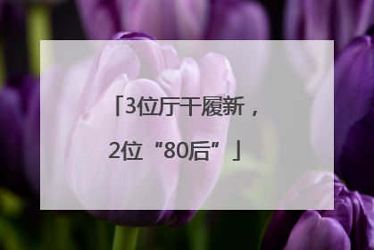 3位厅干履新，2位“80后”
