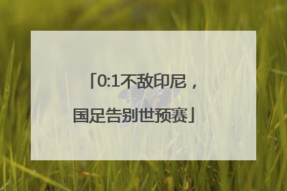 0:1不敌印尼，国足告别世预赛