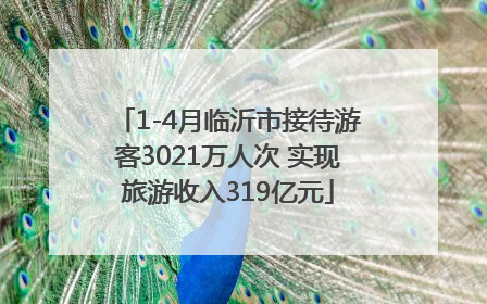 1-4月临沂市接待游客3021万人次 实现旅游收入319亿元