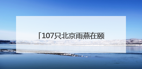 107只北京雨燕在颐和园完成年度“体检”