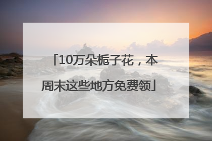 10万朵栀子花，本周末这些地方免费领