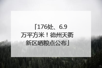 176处、6.9万平方米！德州天衢新区晒粮点公布