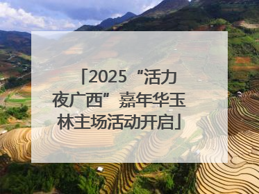 2025“活力夜广西”嘉年华玉林主场活动开启