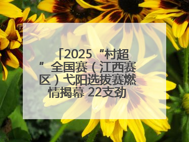 2025“村超”全国赛（江西赛区）弋阳选拔赛燃情揭幕 22支劲旅绿茵逐梦