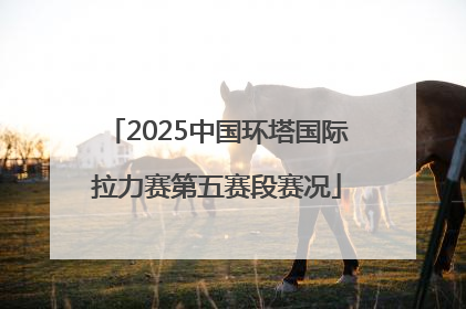 2025中国环塔国际拉力赛第五赛段赛况