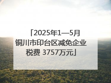 2025年1—5月铜川市印台区减免企业税费 3757万元
