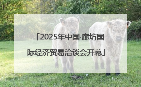 2025年中国·廊坊国际经济贸易洽谈会开幕