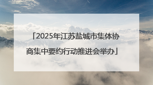 2025年江苏盐城市集体协商集中要约行动推进会举办