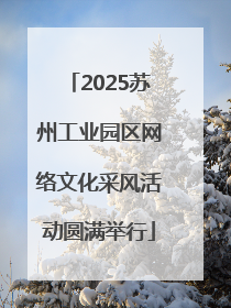 2025苏州工业园区网络文化采风活动圆满举行