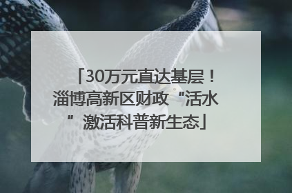 30万元直达基层！淄博高新区财政“活水”激活科普新生态