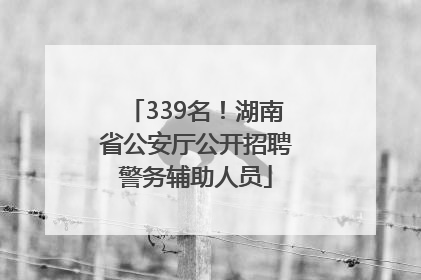 339名！湖南省公安厅公开招聘警务辅助人员