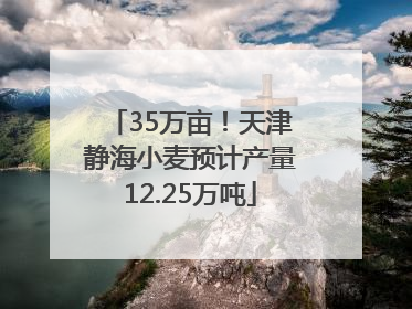 35万亩！天津静海小麦预计产量12.25万吨