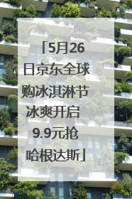 5月26日京东全球购冰淇淋节冰爽开启 9.9元抢哈根达斯