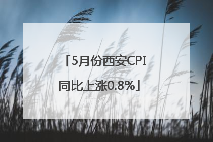 5月份西安CPI同比上涨0.8%