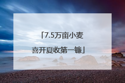 7.5万亩小麦喜开夏收第一镰