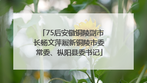 75后安徽铜陵副市长杨文萍履新铜陵市委常委、枞阳县委书记