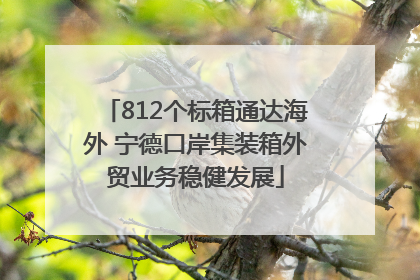 812个标箱通达海外 宁德口岸集装箱外贸业务稳健发展