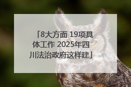 8大方面 19项具体工作 2025年四川法治政府这样建