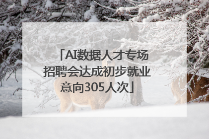 AI数据人才专场招聘会达成初步就业意向305人次