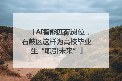 AI智能匹配岗位，石鼓区这样为高校毕业生“职引未来”